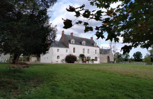 Manoir de L'Aisnerie - Foto 35