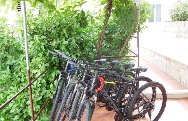 Apartments Ivancevic - Foto 53