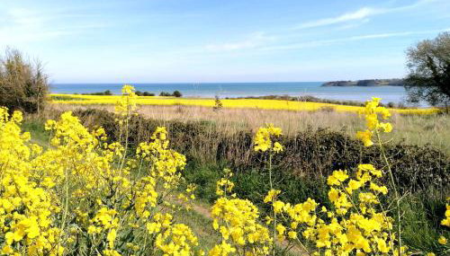 le Ti'Nid - Gîte de charme - Vue Mer - Foto 2