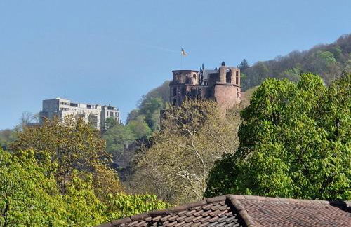 Altstadtblick - Foto 50