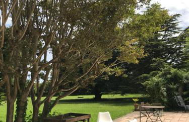 Le Mas des Figuiers - Foto 16