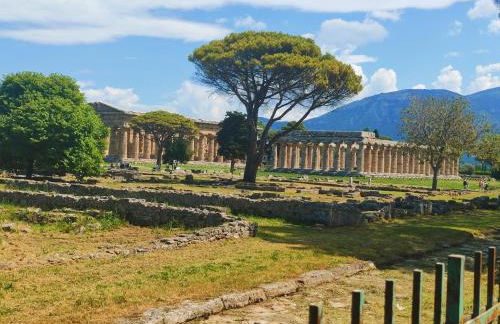 Il Giardino di Athena 1 - Foto 7