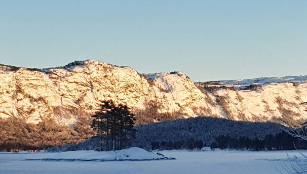 5 Person Holiday Home in Treungen - Foto 5, Habitación