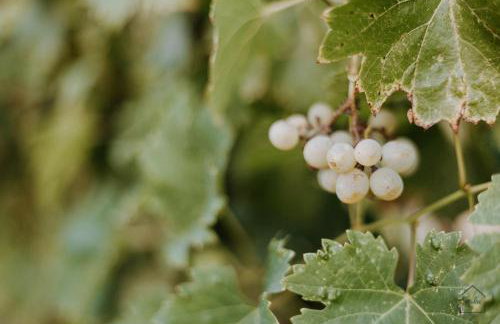 Kuća za odmor Fjaka - Foto 30