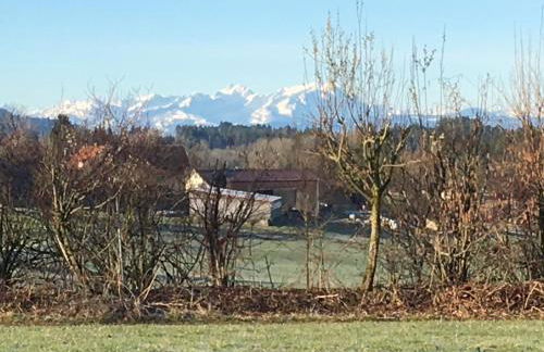 Panorama Säntisblick - Foto 25