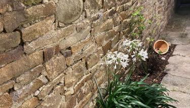 Ty Guenhaël petite maisonnette avec extérieur intra-muros proche port de Vannes - Foto 5, Garden