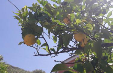 Tigullio Vacations panoramica apartments - Foto 38