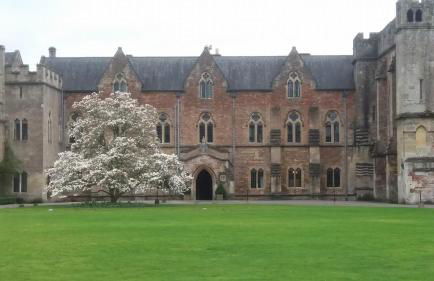 Pear Tree Cottages - Photo 16