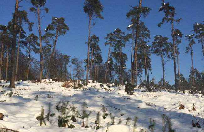 Holiday Apartment Trulich Hoff - Foto 8