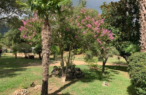 Résidence EMILIA - Foto 63