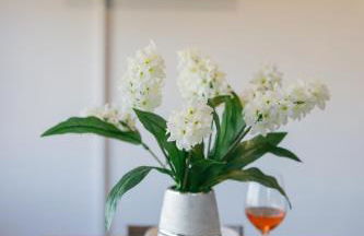 Leonardo's Home Cycladic cottage - Foto 21