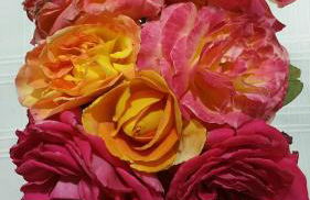 Casa el Porte - Foto 52