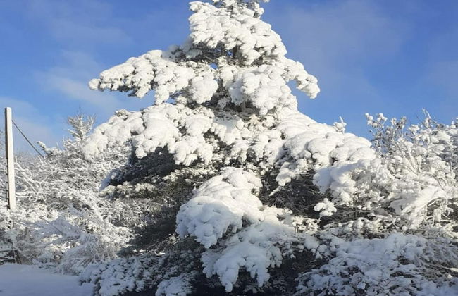 Holiday Home in Dordogne With Pool & Bubble Bath - Foto 31