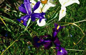 gîte en campagne Lamégritnière - Foto 39