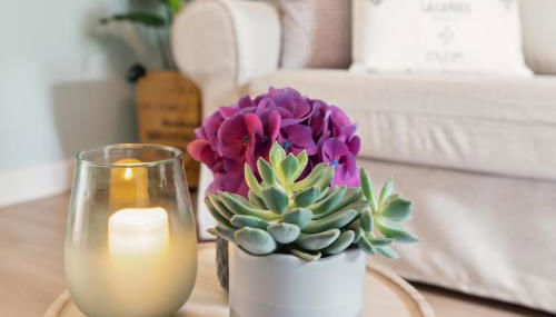 Altstadt Apartment am Wasser mit großem Garten - Photo 5