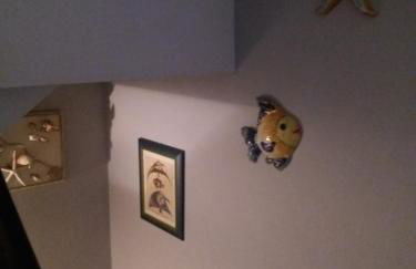 sole mare versilia - Foto 26