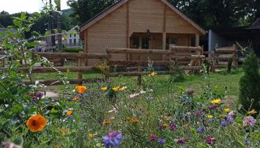Chalet des fontaines claires - Foto 2, Garden, Garden view