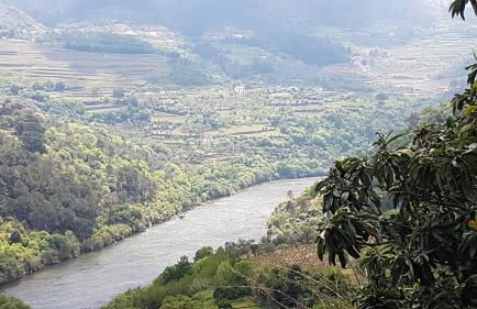 Quinta Barqueiros D'Ouro - Casa da Música - Photo 10