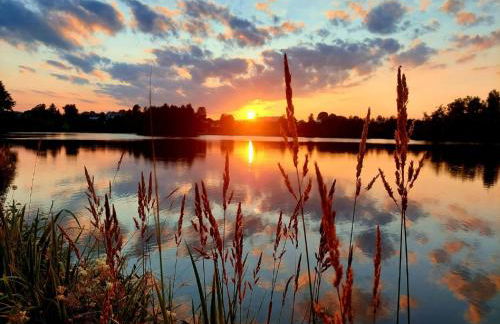 Ferienwohnung Bayerwaldblick - Foto 40