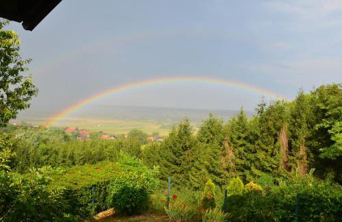 Green Zelina - Foto 9