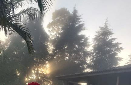 Sítio por do Sol - Pedra Azul - ES - Photo 59