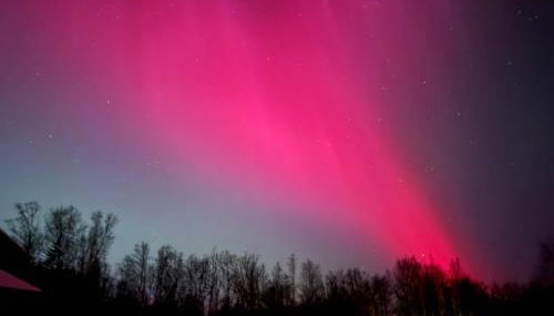 Alaska Getaway - Foto 2