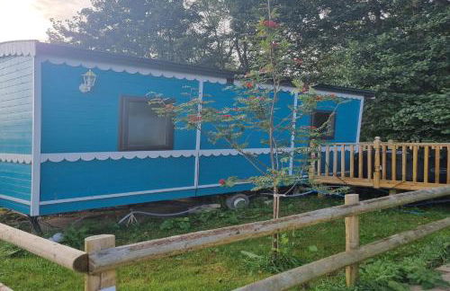 Glamping Hut - Riverview 3 - Foto 17