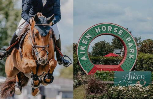 Briarwood Cottage Hot Tub Putt Putt Games - Foto 19