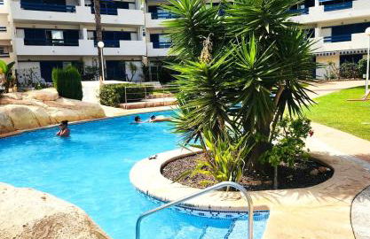 Palm Apartment - La Calma - Foto 3