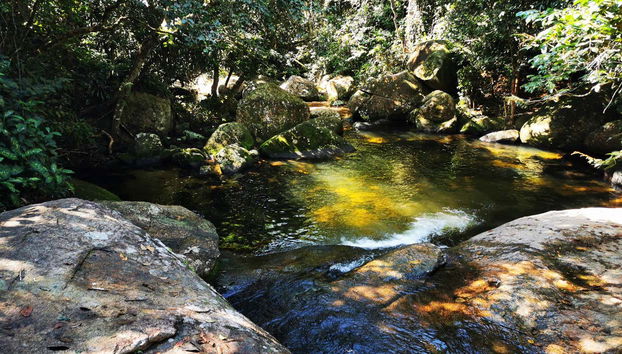 Tour por Abraão, la playa Preta y el Acueducto de Ilha Grande - Foto 3