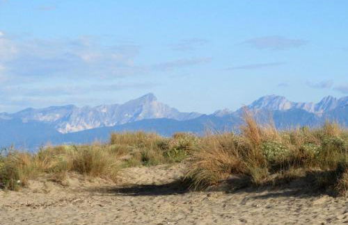 Molina apartment 213 - Photo 51