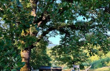 La Stellina Casa Vacanze - Relax immersi nella natura - Foto 30