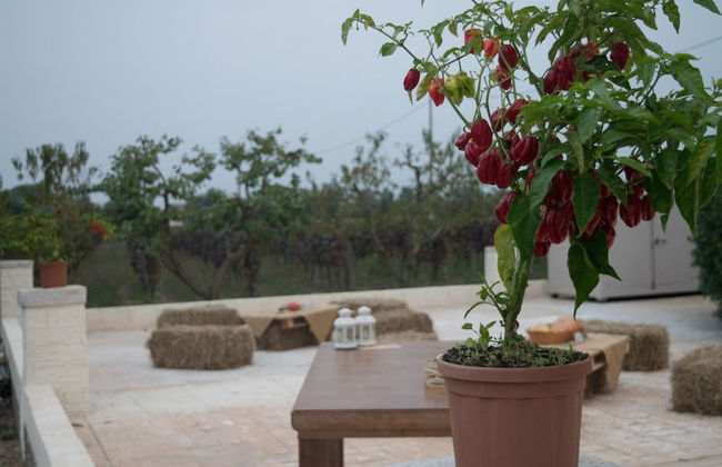 Tenuta Vigna Del Noce - Photo 32