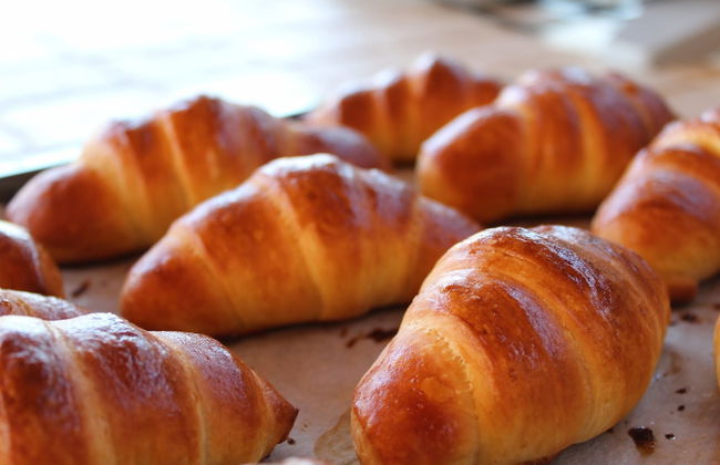 Ecolodge Selvitelle - Escape the Hectic and Submerge in the Nature of Cilento - Photo 8