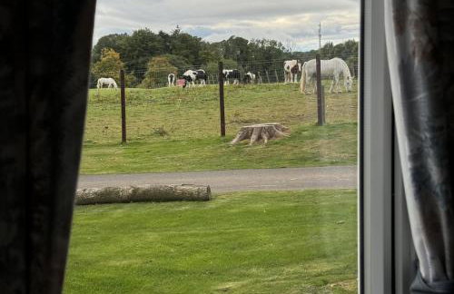 Haggerston Castle - Caravan - Sleeps 6 - Parking - Foto 33