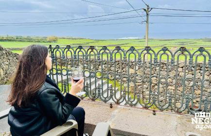 Casa das Lajes by Ponta Negra Azores - Foto 17