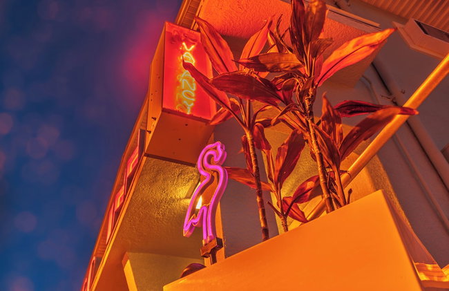 Flamingo Inn - Photo 68