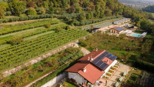 Agriturismo Agricamping GARDA NATURA - Foto 3