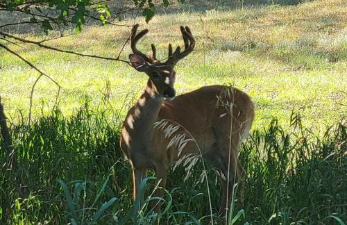 Lewis And Clark Hideaway SD side hot tub 2 min lake - Foto 26