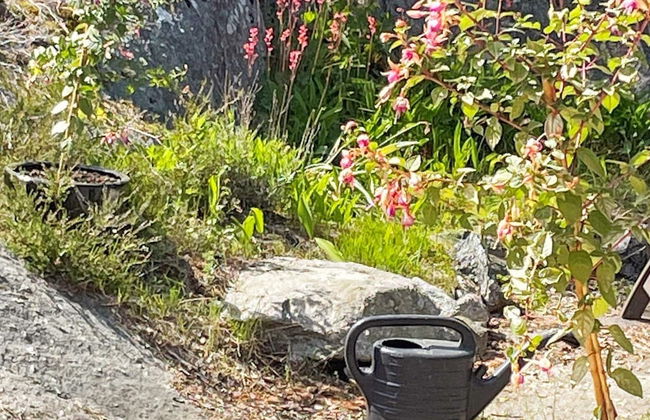 2 Person Holiday Home in Ingaro - Foto 17