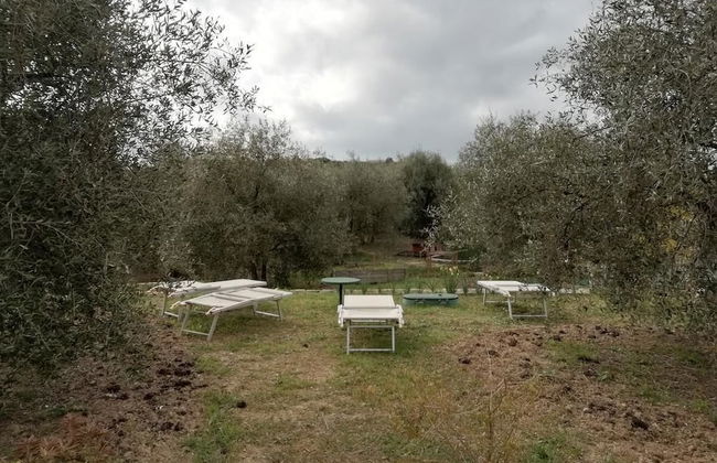 Agriturismo il Grande Ulivo - Foto 13