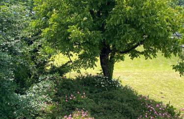 Il Nocciolo - Foto 8