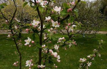 La maison bleue, entre terre et mer - Foto 32