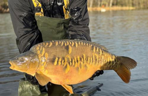 Woodpecker Lodge - Brook Meadow - sleeps 4 plus 2 - no pets - Foto 31