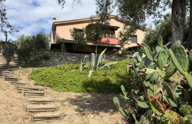 Halkiddiki-Kassandra-Mola Kalyva Traditional House in front of the sea - Foto 24