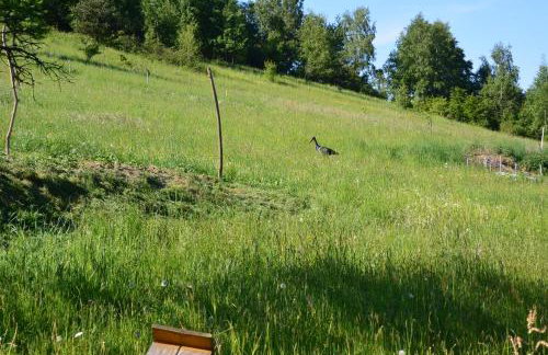 Domki na Polach Piwniczna-Zdrój - Foto 59