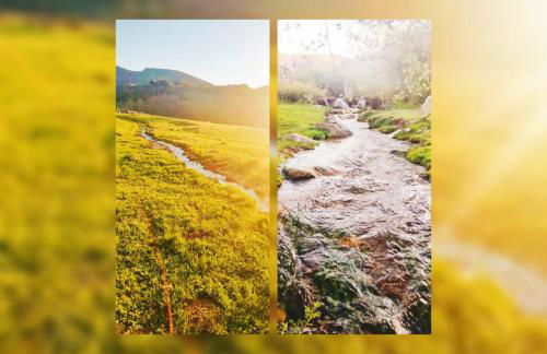 Don Mauricio y periquines - Foto 35