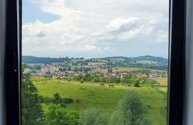 L'Ecrin de Saint Genest Lerpt - Belle vue et Calme - Foto 2