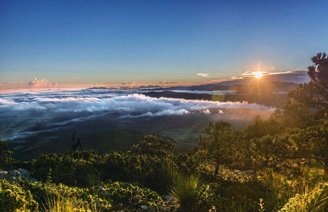 Peña del Rey Hiking Tour - Photo 2