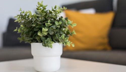 La Lajita Barca Beach Sunset - Foto 5